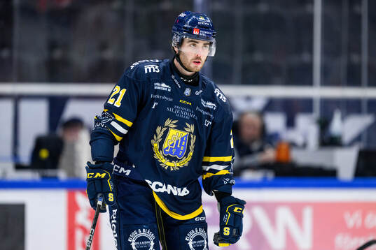 Södertäljes Nolan Stevens