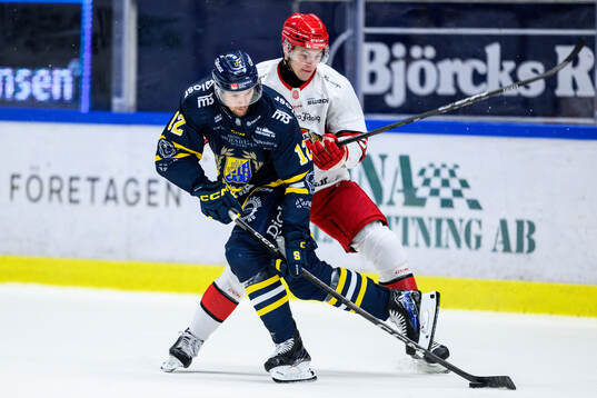 Södertäljes Viktor Liljegren och Almtunas William Proos
