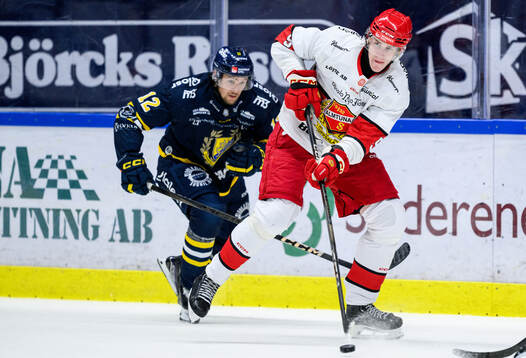 Södertäljes Viktor Liljegren och Almtunas Jacob Grönhagen