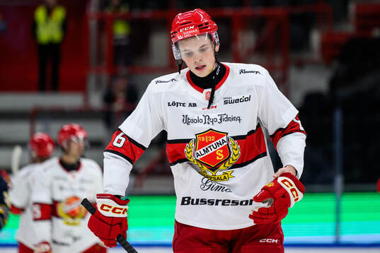 Almtunas Ludvig Georgsson deppar