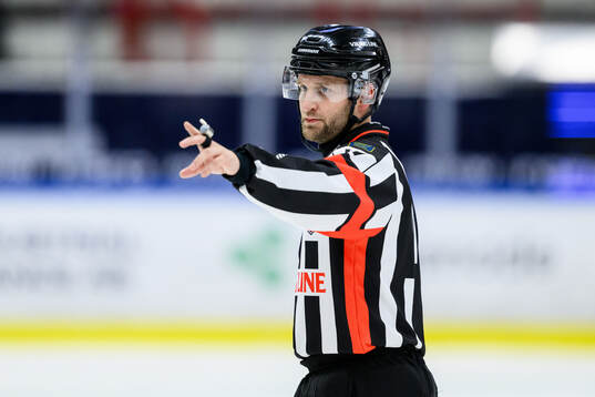 Domare Niklas Johansson