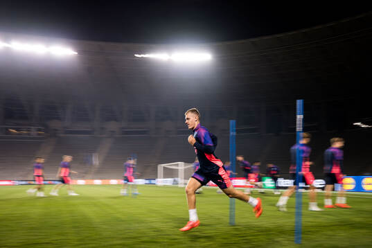 Sebastian Jörgensen of Malmö FF