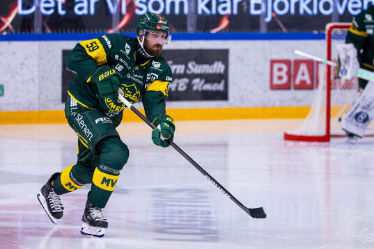 Björklövens Theoklis Theocharidis