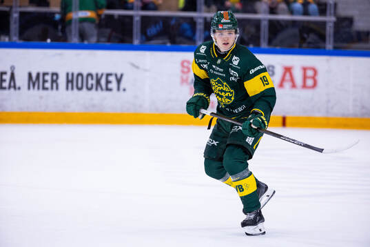 Björklövens Liam Dower Nilsson