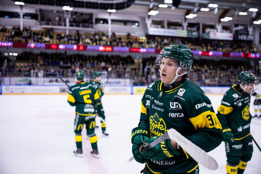 Björklövens Lenni Killinen