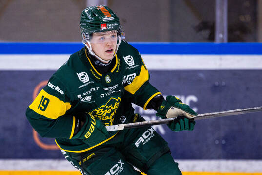 Björklövens Liam Dower Nilsson