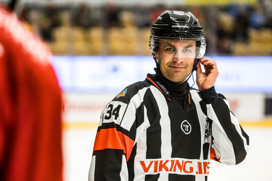 Domare Niclas Lundsgaard
