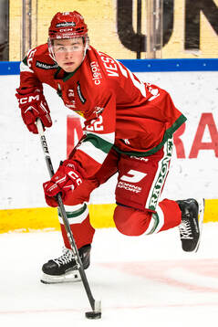 Moras Petter Vesterheim