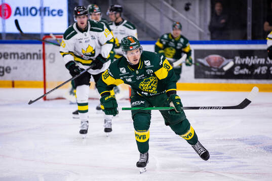 Björklövens Erik Andersson