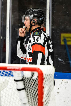 Domare Niclas Lundsgaard
