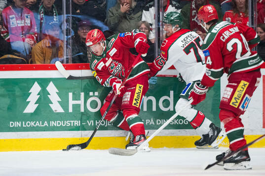 MoDos Oscar Pettersson