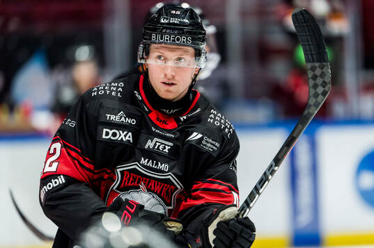 Malmö Redhawks Robin Salo