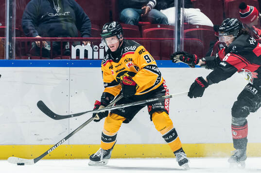 Luleås Brian O'neil och Malmö Redhawks Dominik Badinka