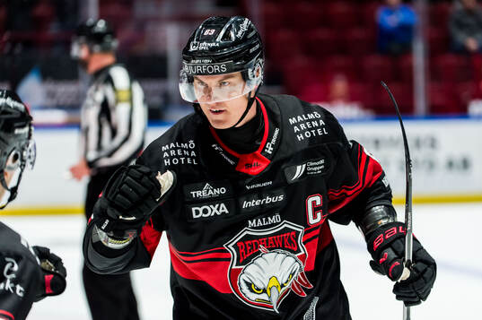 Malmö Redhawks Fredrik Händemark jublar