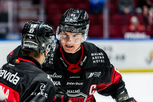 Malmö Redhawks Fredrik Händemark jublar