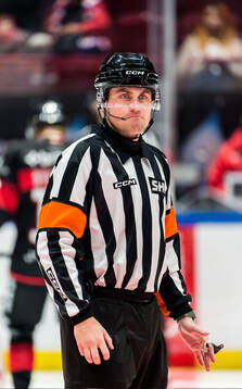 Domare David Laksola