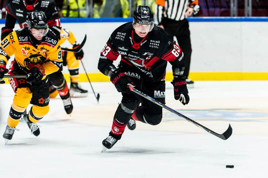 Malmö Redhawks Fredrik Händemark och Luleås Brian O'neil