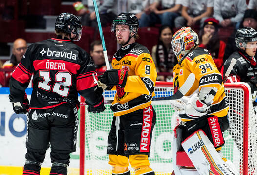 Malmö Redhawks Linus Öberg och Luleås Ludvig Jansson och