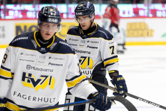 HV71s Radan Lenc deppar