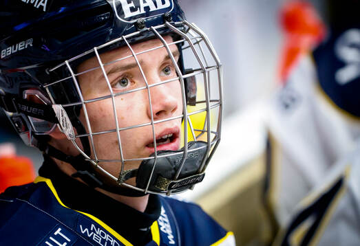 HV71s Wilhelm Hallquisth