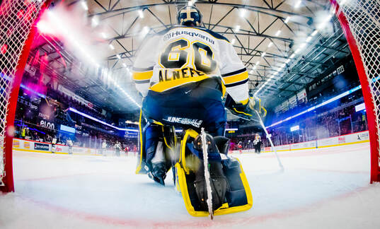 HV71s målvakt Hugo Alnefelt deppar