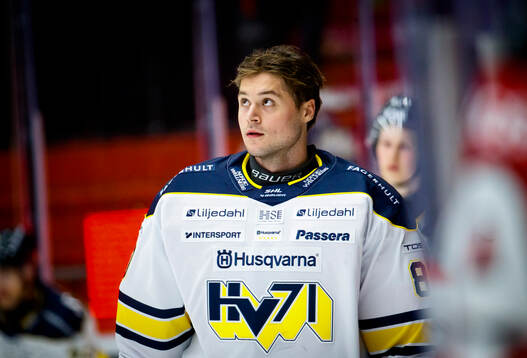 HV71s målvakt Frederik Dichow