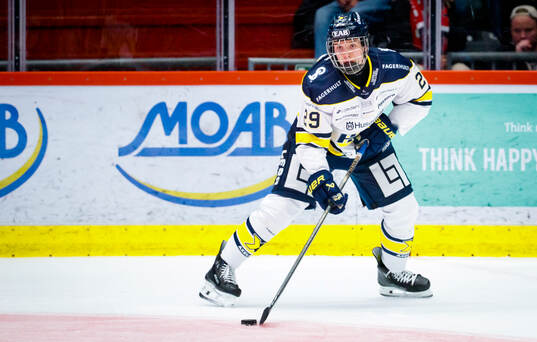 HV71s Wilhelm Hallquisth