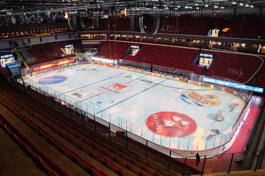 Monitor ERP Arena