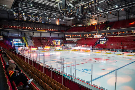 Monitor ERP Arena