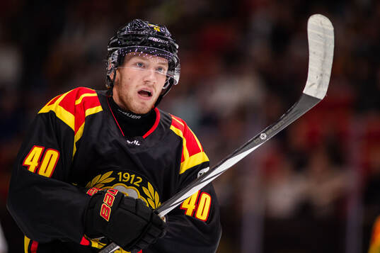 Brynäs Anton Ohlsson