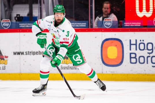 Rögles Michael Kapla
