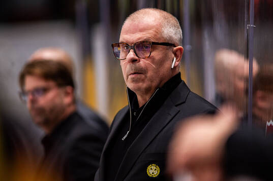 Brynäs assisterande tränare Anders Carlsson