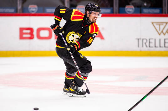 Brynäs Anton Rödin