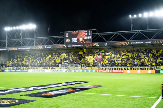Spectators in the stands