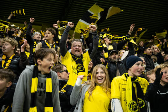 Supporters of Elfsborg celebrate in the stands