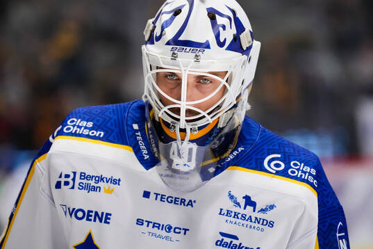 Leksands målvakt Mantas Armalis