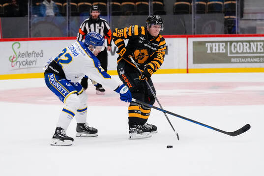 Leksands Lukas Vejdemo och Skellefteås Rickard Hugg