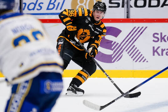 Skellefteås Rickard Hugg
