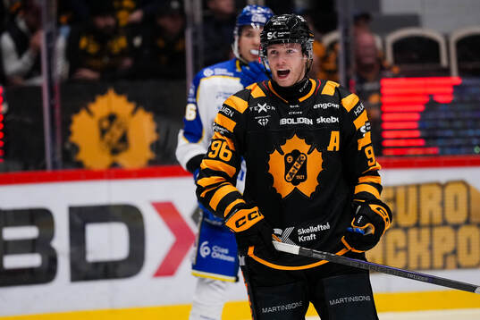 Skellefteås Rickard Hugg