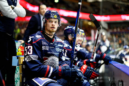 Linköpings Adam Hofbauer