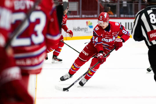Timrås Sebastian Hartmann