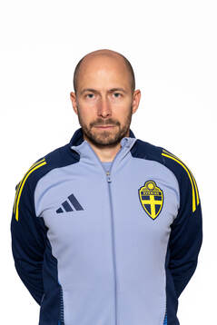 Aleksandar Cvetanovic, Fystränare