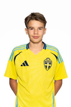 Ludwig Arvidsson