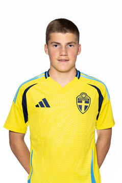 Niko Grgic Sallanto