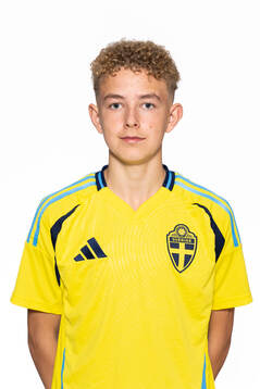Sander Färlin