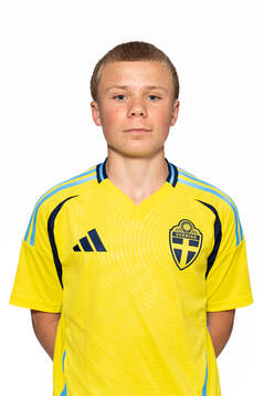Mijo Johansson