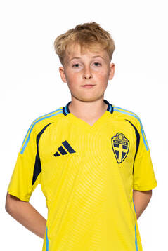 Wille Rosengård