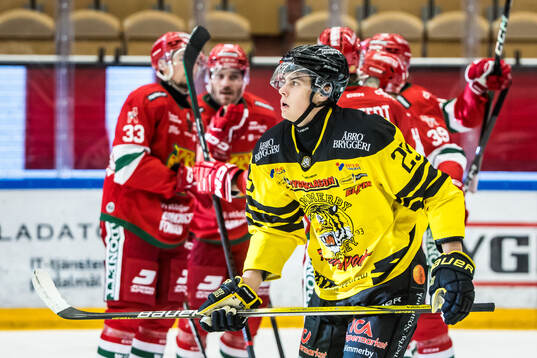 Vimmerbys Adam Petersson deppar