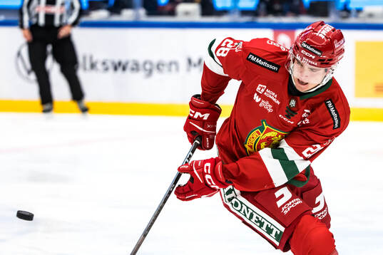 Moras Gabriel Säll