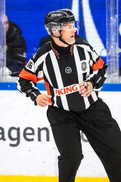 Domare Mikael Nord